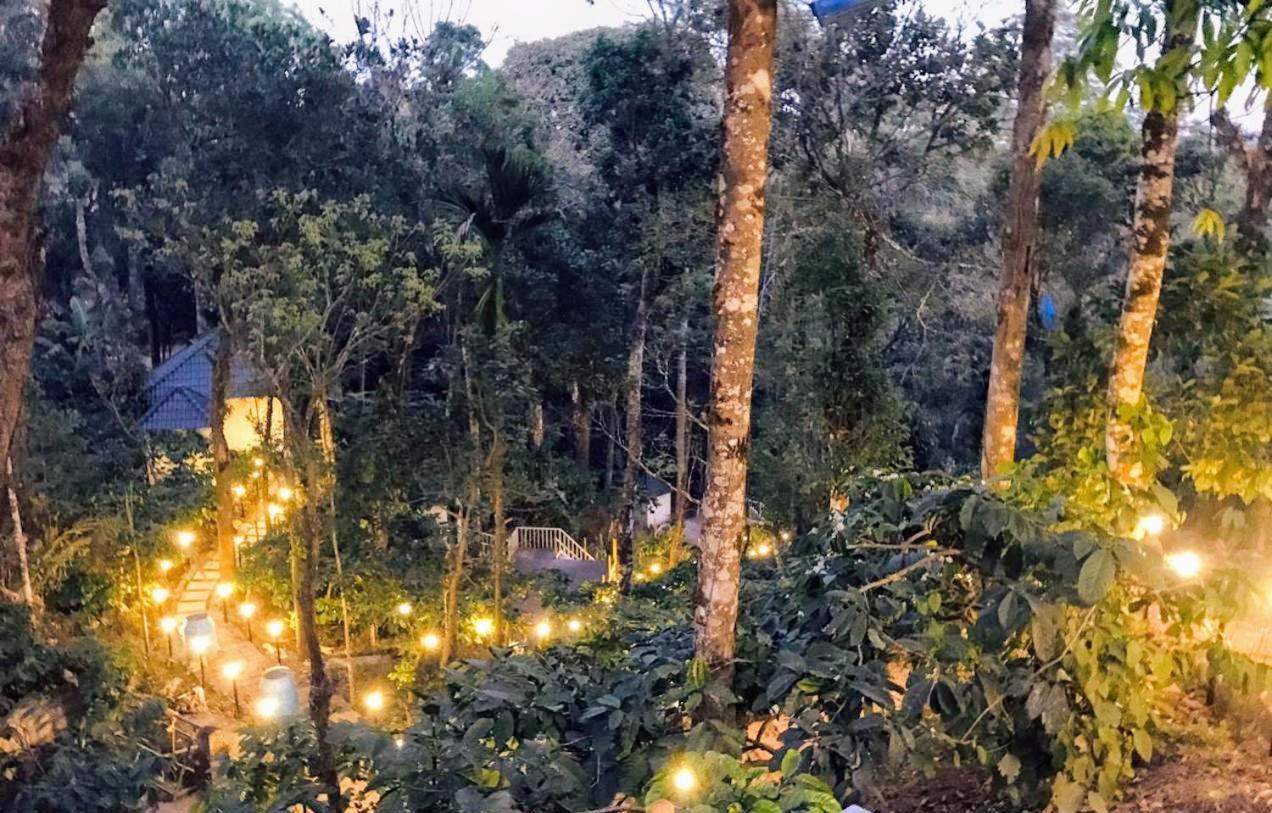The Mountain Shades Resort 马迪凯里 外观 照片
