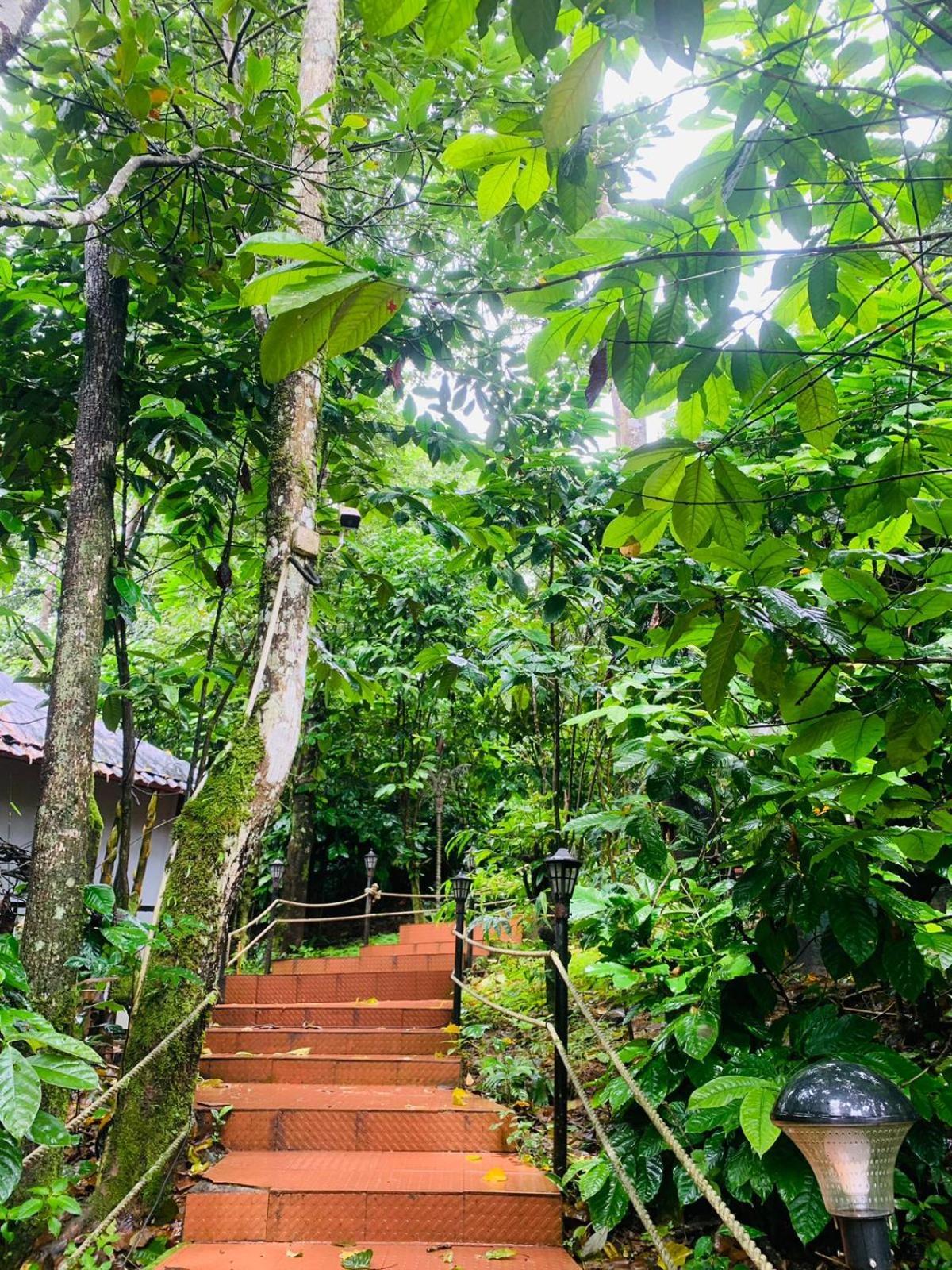 The Mountain Shades Resort 马迪凯里 外观 照片