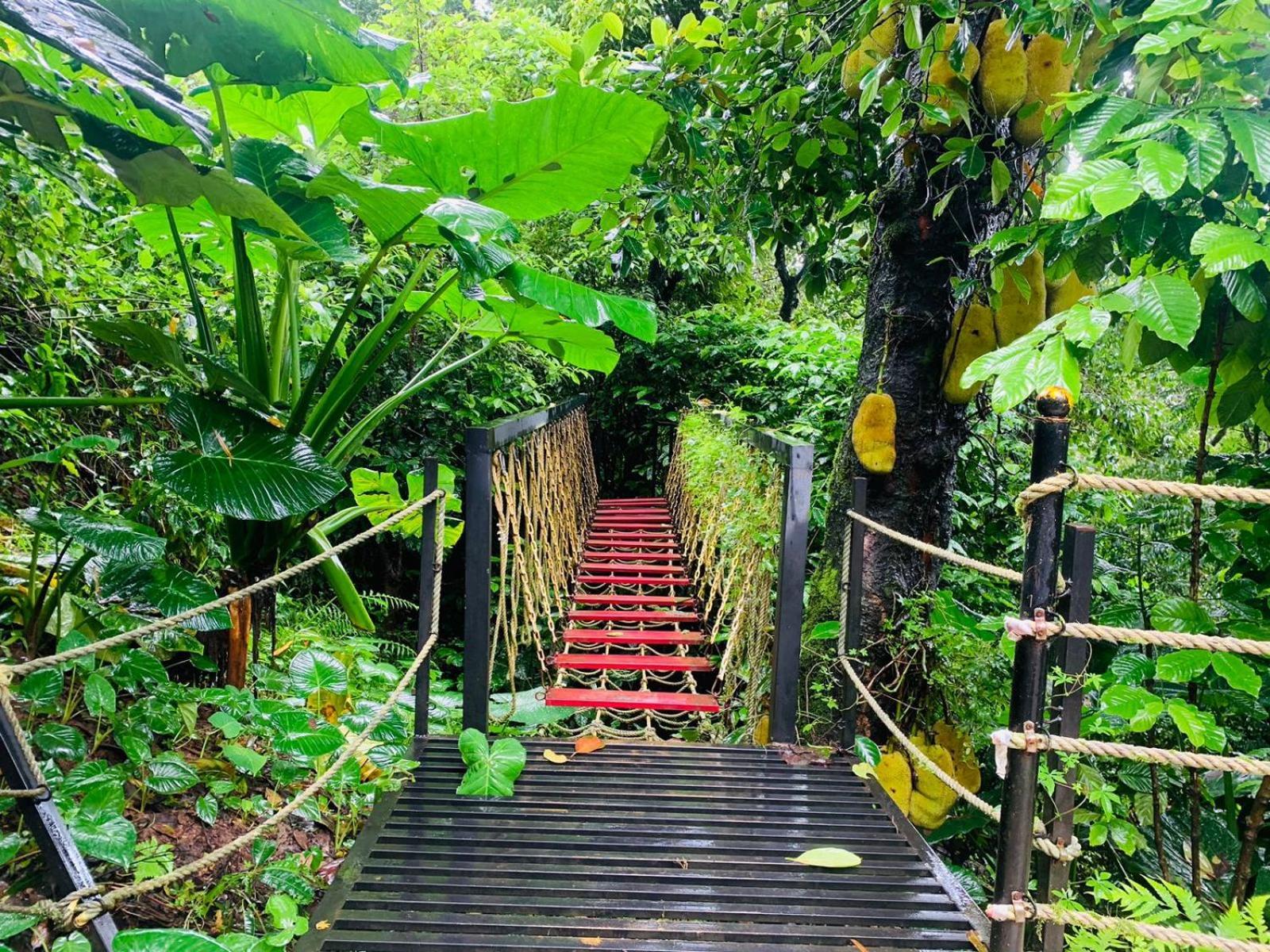 The Mountain Shades Resort 马迪凯里 外观 照片
