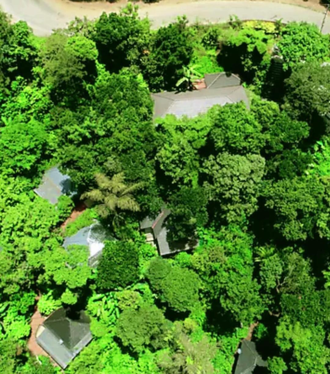 The Mountain Shades Resort 马迪凯里 外观 照片