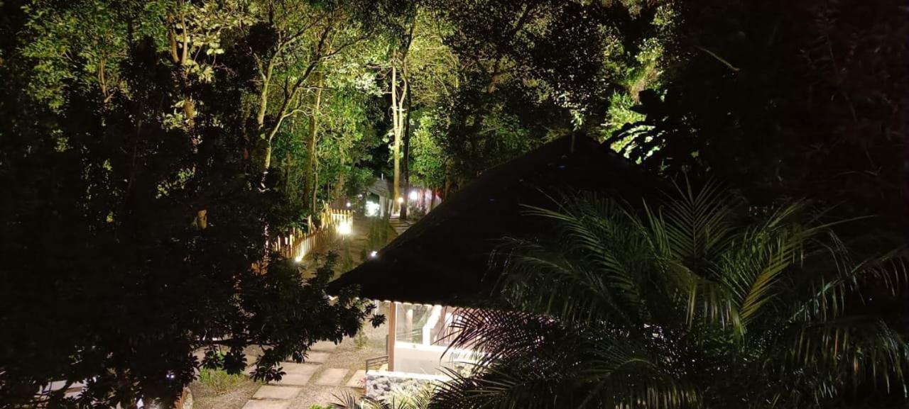 The Mountain Shades Resort 马迪凯里 外观 照片